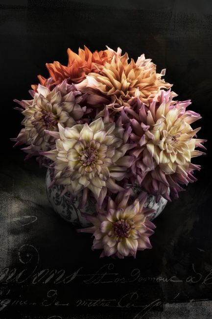 Ann Garrett | Shabby Chic Dahlia Still Life