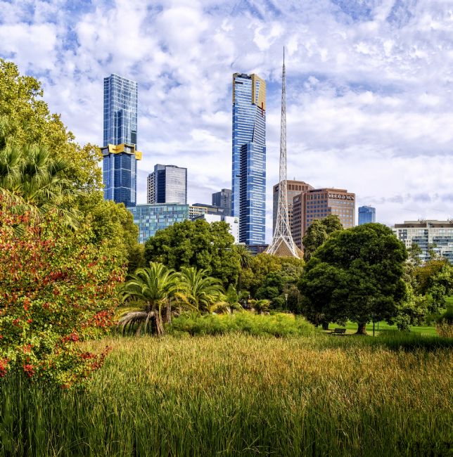 Pauline  Tims | Beautiful Melbourne