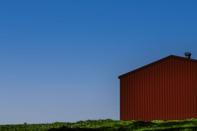 Pauline  Tims | The Red Shed
