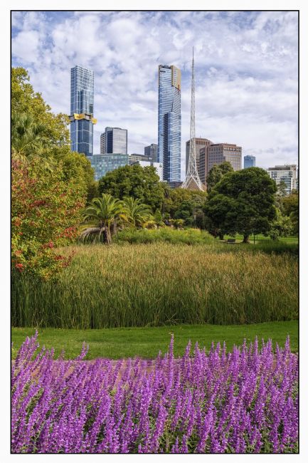 Pauline  Tims | Beautiful Melbourne