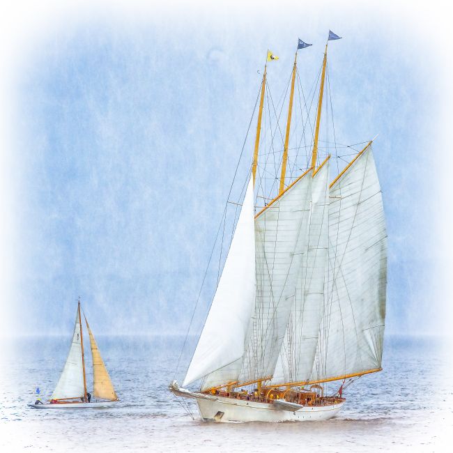 Cyndy Duff | The Schooner Adix at Fife Regatta
