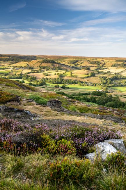 Richard Burdon | Evening Light On Rosedale