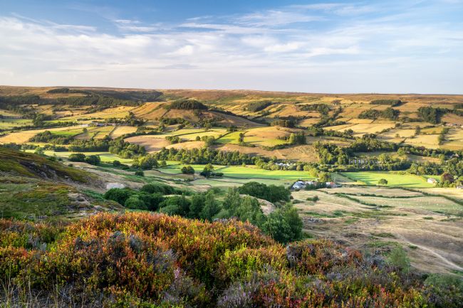 Richard Burdon | Evening Light On Rosedale
