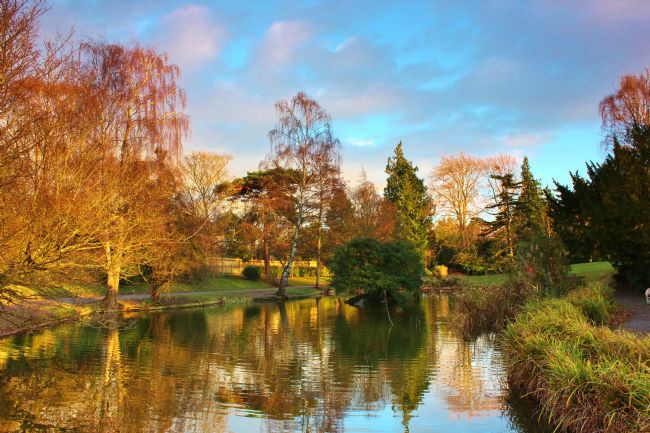 Susan Snow | Hatherley Park Lake