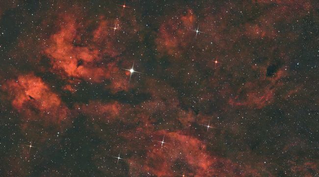 Susan Snow | Sadr Star nebulosity