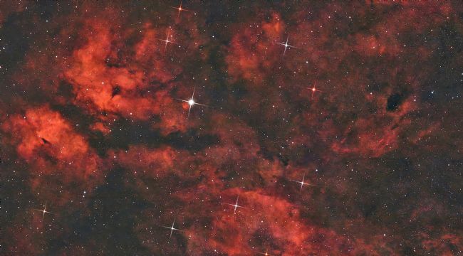 Susan Snow | Sadr Star nebulosity