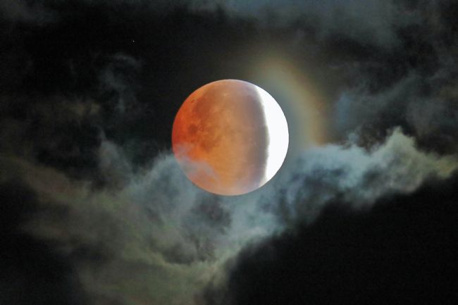 Susan Snow | Astrophotography