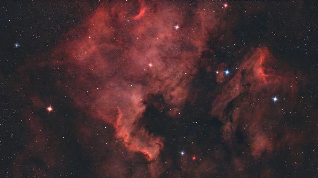 Susan Snow | North American Nebula