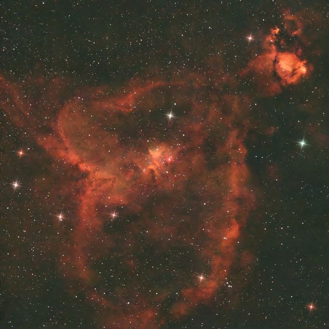 Susan Snow | Heart Nebula
