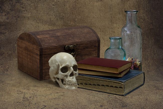 Steve Stamford | Alas poor Yorick