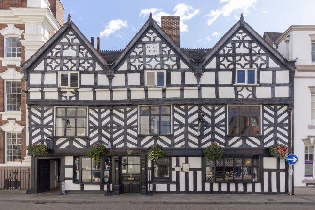 Steve Stamford | The Tudor