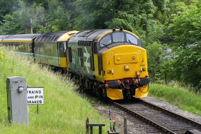 Steve Stamford | Isle of Mull - 37403 and Lady Diana Spencer 47712