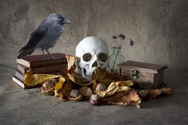 Steve Stamford | Wot, no eyeballs