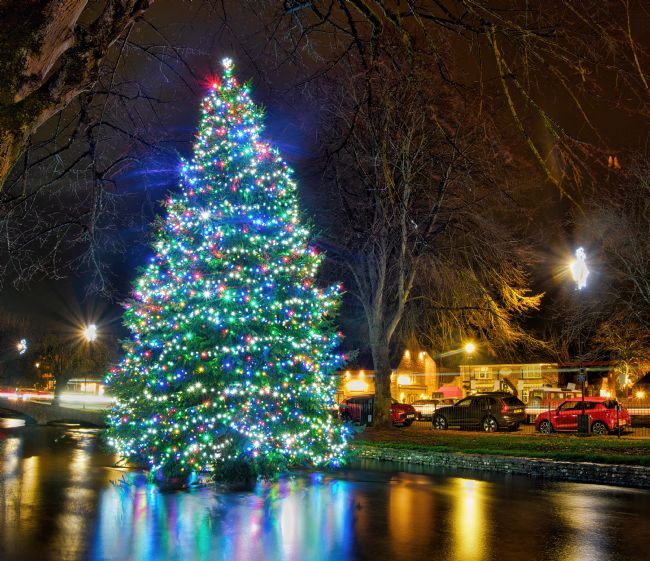 Janet Carmichael | Bourton on the Water Christmas Tree