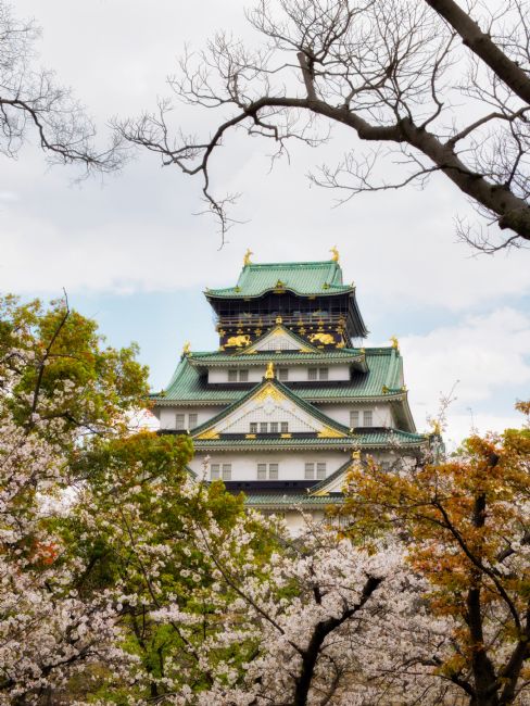 Janet Carmichael | Osaka Castle