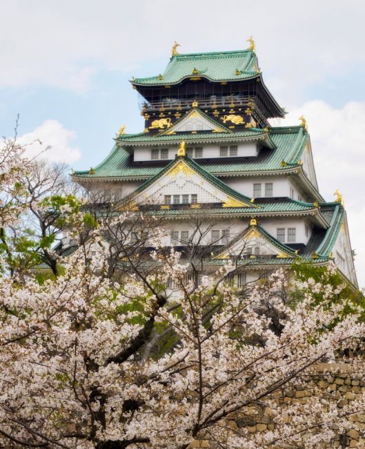 Janet Carmichael | Osaka Castle
