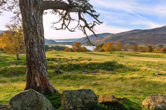 Barbara Jones | Dunalastair Water in Autumn Perthshire Scottish Highlands.
