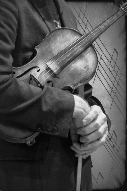 Lynn Bolt | Violinists Fingers Black and White