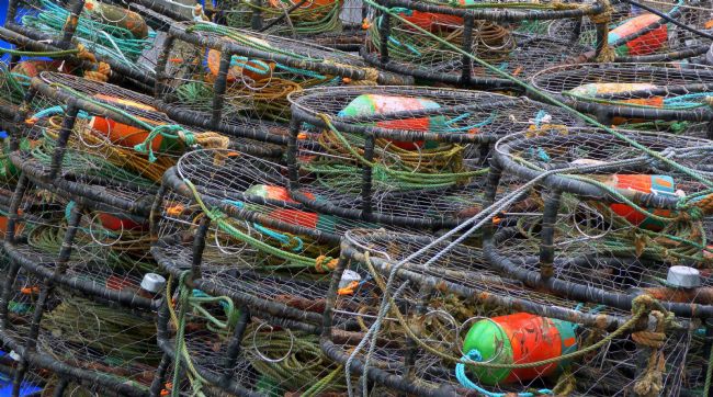 Lynn Bolt | Colourful Fishing Creels