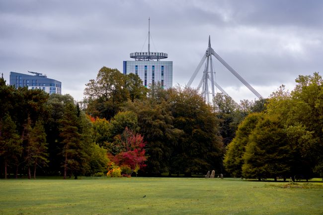Gordon Maclaren | Autumn Bute Park Cardiff