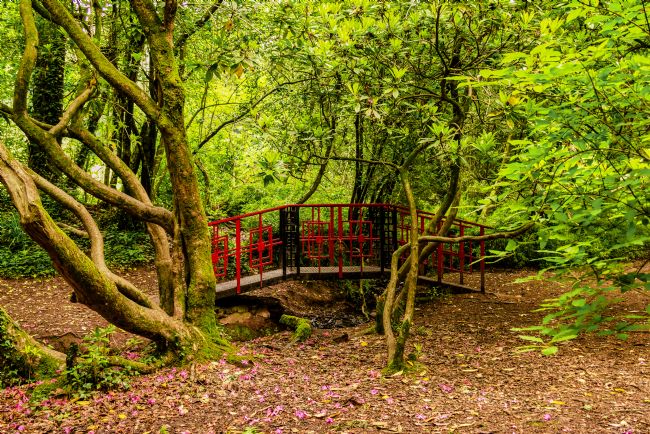 Gordon Maclaren | Oriental Bridge, Parc Cefn Onn, Cardiff