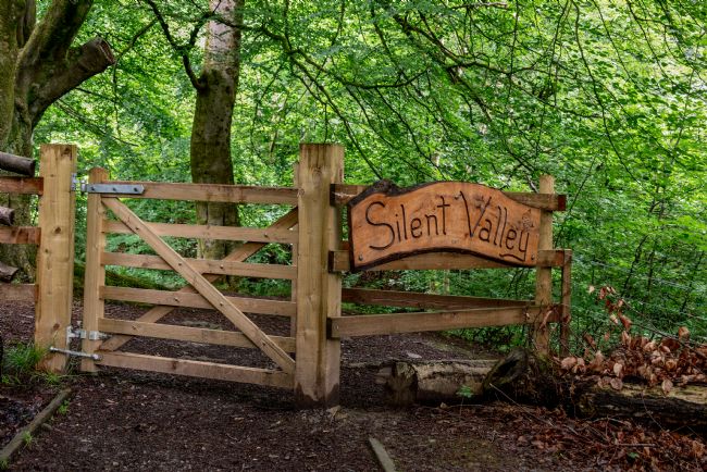 Gordon Maclaren | Silent Valley Nature Reserve
