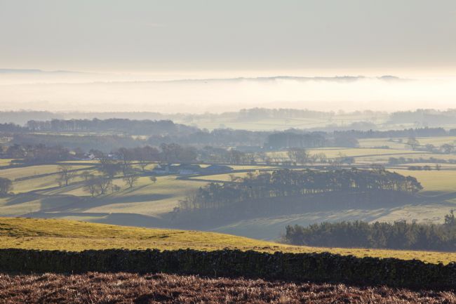 Stephen Prosser | Hanging low