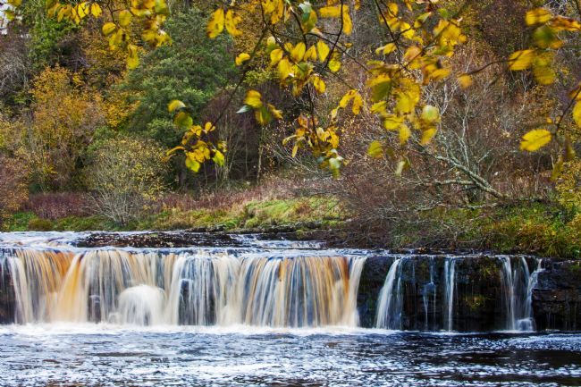 Stephen Prosser | Wain WathForce 3