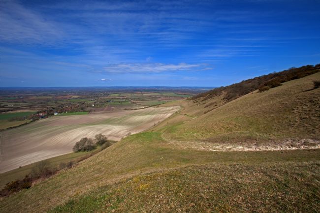 Stephen Prosser | Gentle contours
