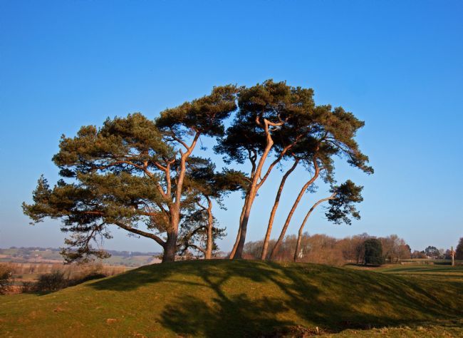 Stephen Prosser | Standing proud