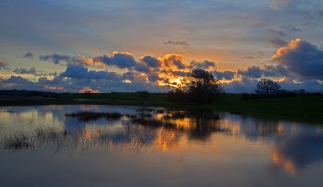 Stephen Prosser | A world of water