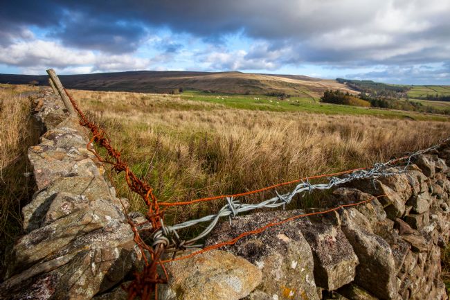 Stephen Prosser | Boundaries converge