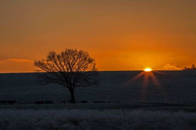 Stephen Prosser | Frosty sunrise
