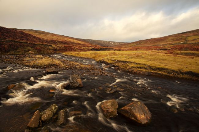 Stephen Prosser | Cutting through