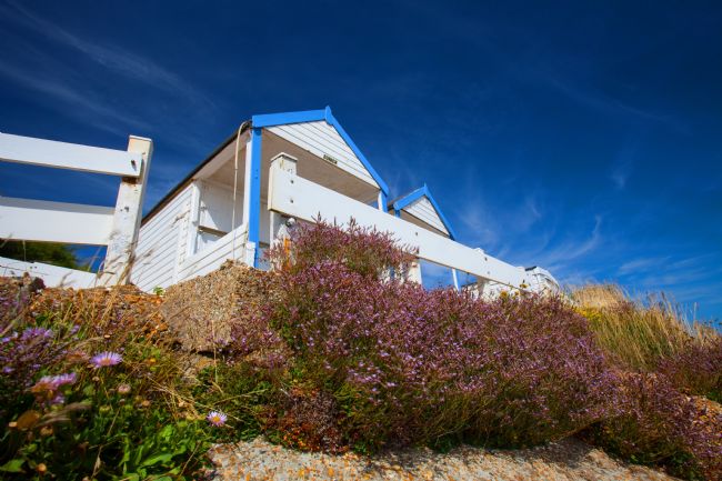 Stephen Prosser | Blue under blue