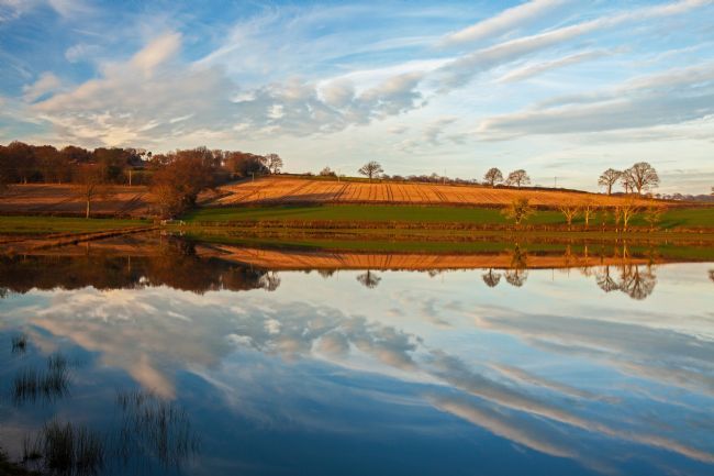 Stephen Prosser | Slick reflections