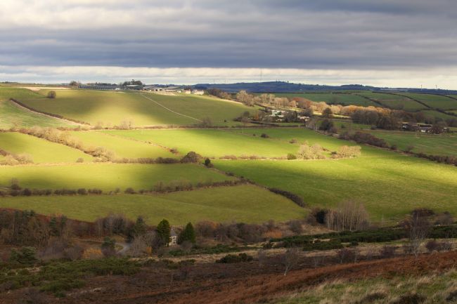 Stephen Prosser | Light and shade