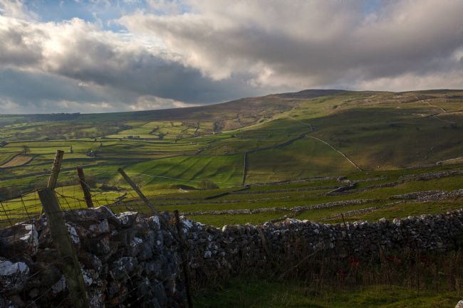 Stephen Prosser | Gods own