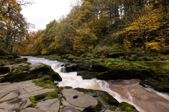 Stephen Prosser | Famous or infamous