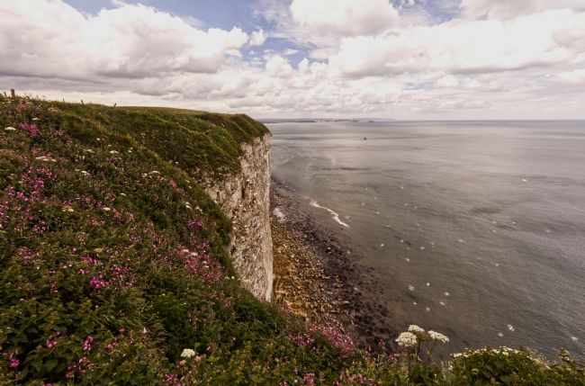 Stephen Prosser | Flamborough head 3