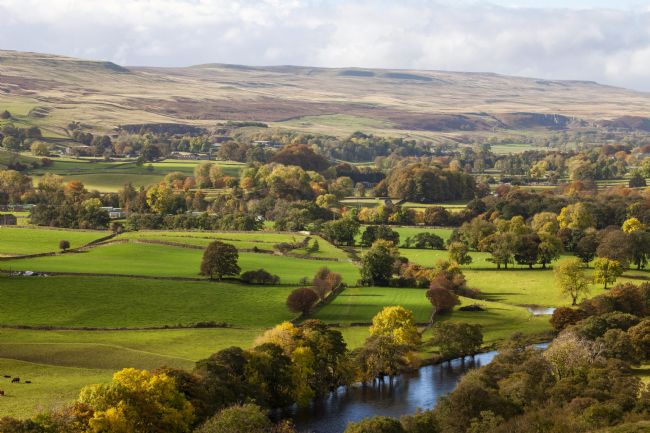 Stephen Prosser | In the green