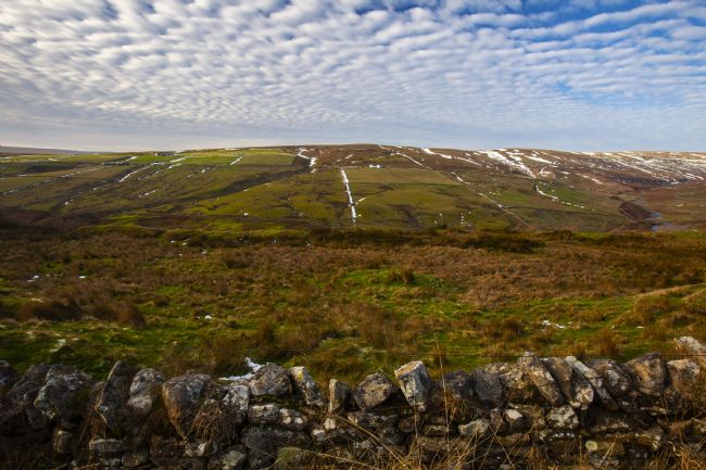 Stephen Prosser | Just a sprinkling