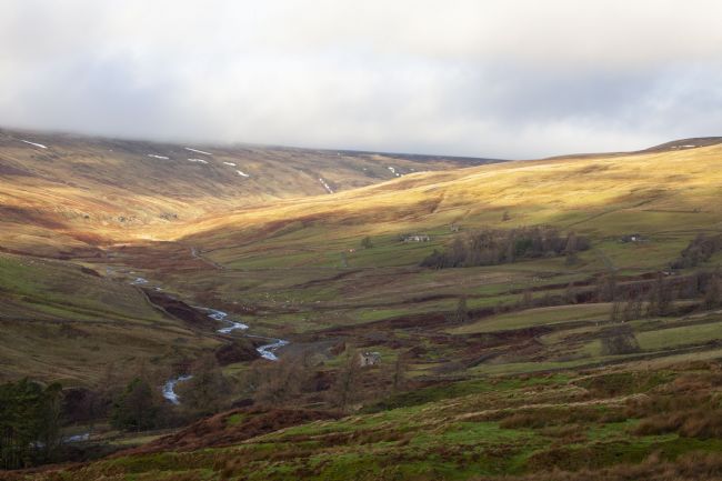 Stephen Prosser | Winding its way