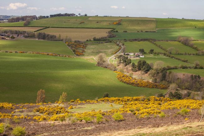 Stephen Prosser | Burning bright