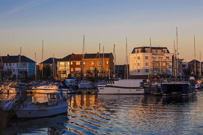 Stephen Prosser | Shimmering gold